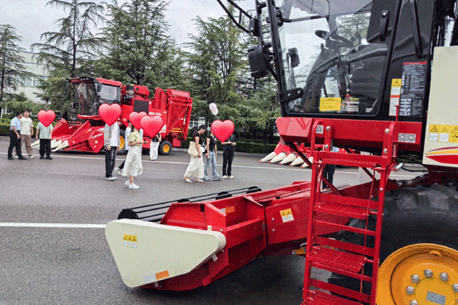 yp街机(中国)电子游戏官网